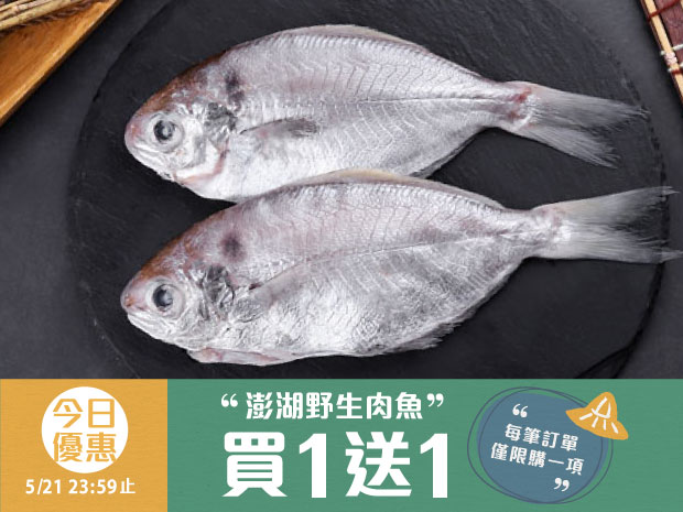 今日優惠-澎湖-野生肉魚150g(2入)