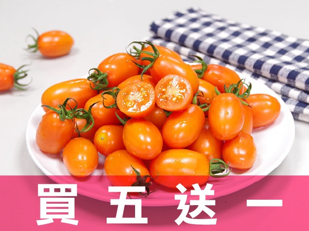 【美濃】網室黃金橙蜜香小番茄5斤(六箱)