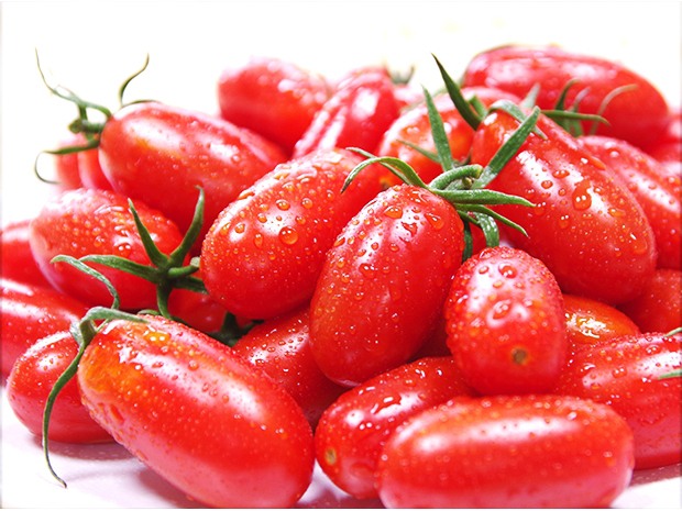 【後龍】有機玉女小番茄2斤