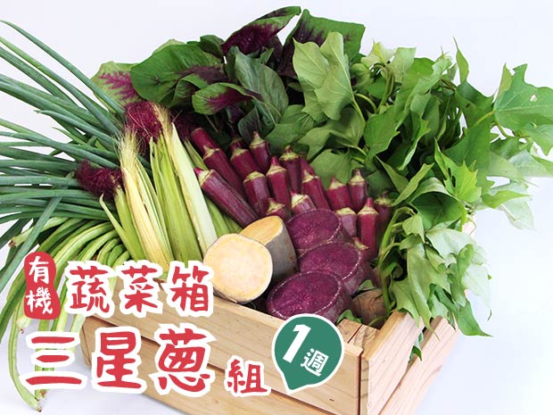 【行健村】三星蔥有機蔬菜箱(一週組)