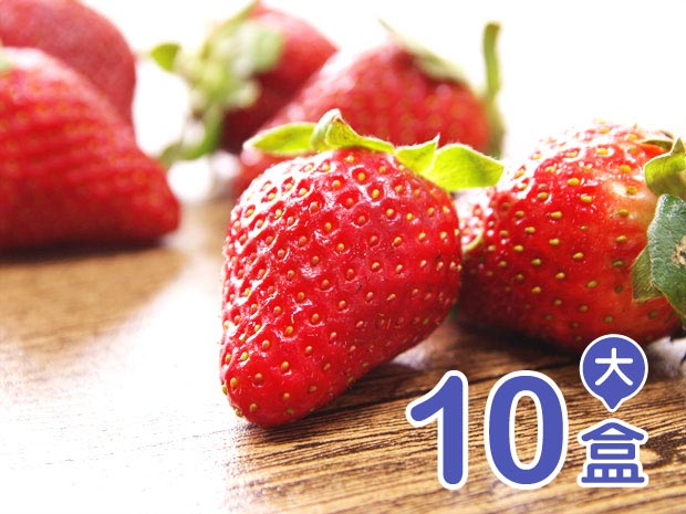 預購-【阿里山】吃酵素的有機香水草莓-大(10盒)