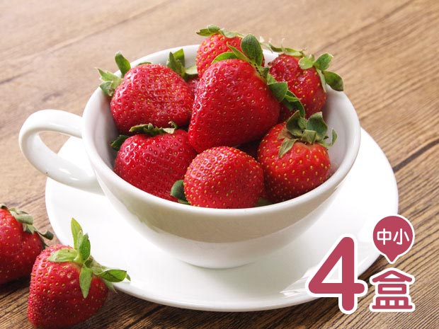 預購-【阿里山】吃酵素的有機香水草莓-中小(4盒)