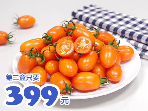 預購-【美濃】網室黃金橙蜜香小番茄5斤(二盒)