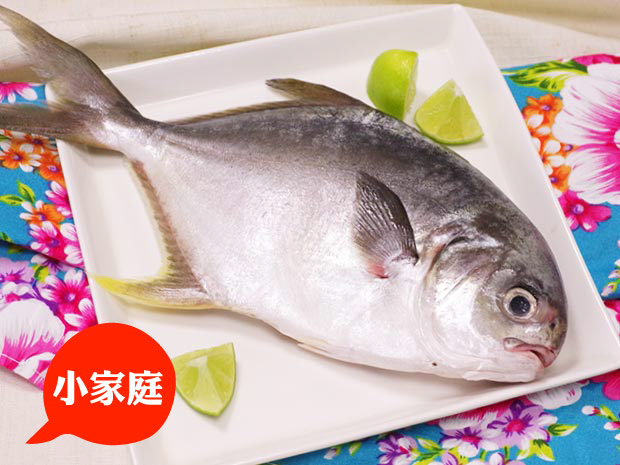 澎湖-富貴海味金鯧魚350g