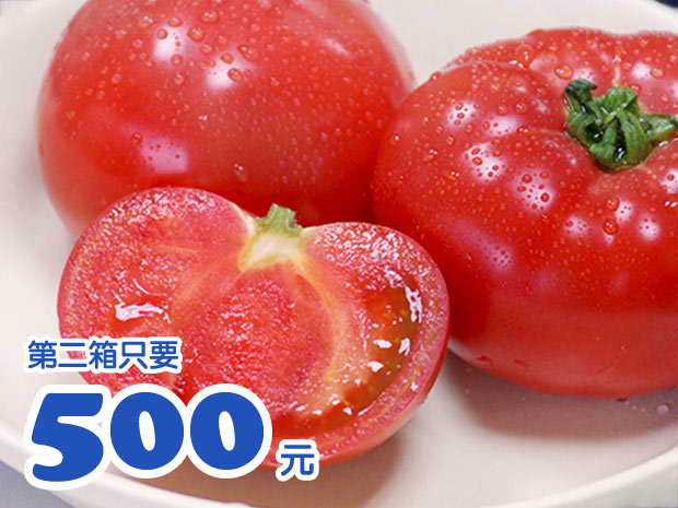 【宜蘭】日本品種有機優美番茄(中果)5斤2箱