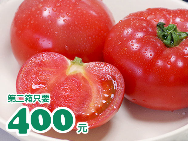 【宜蘭】日本品種有機優美番茄(小果)5斤2箱