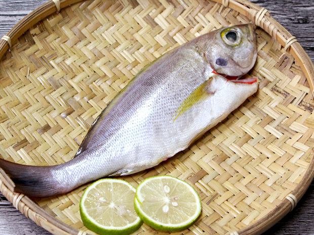 澎湖-極鮮野生手釣黃雞魚250g(加價購)