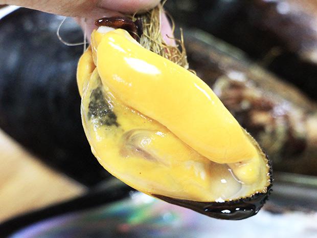 馬祖-空運新鮮淡菜（黑殼貽貝）2公斤