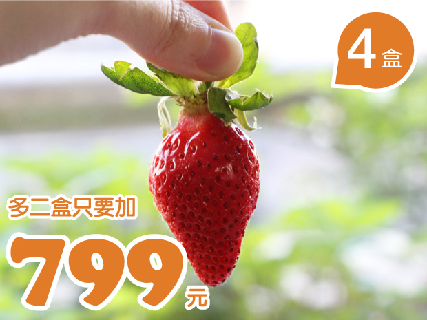 【大湖】友善生態的無毒豐香草莓4盒