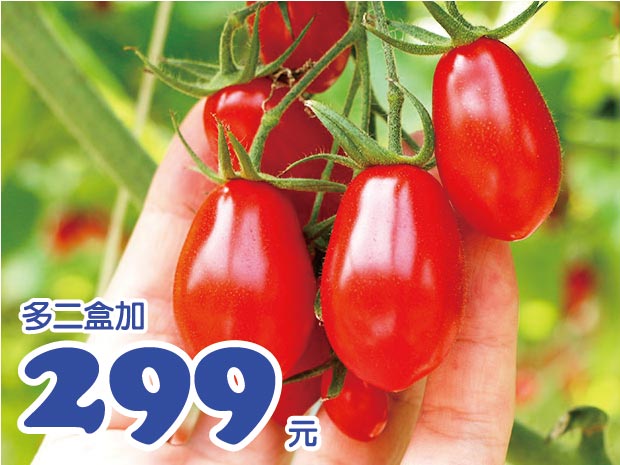 【口湖】神好吃鹽地玉女小番茄6斤