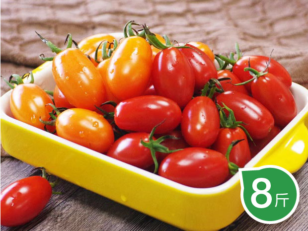【六龜】產銷履歷沙地雙色小番茄4斤二箱