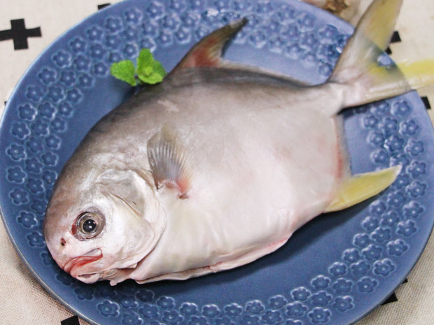 年年有魚-永安生態養殖海金鯧350g(加價購)