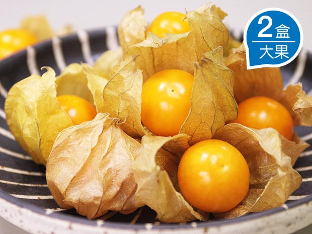 【白河】日本品種極品黃金莓(大果)2盒