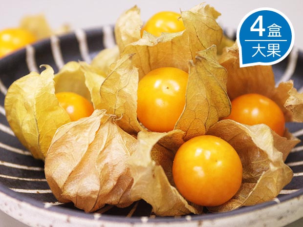【白河】日本品種極品黃金莓(大果)4盒