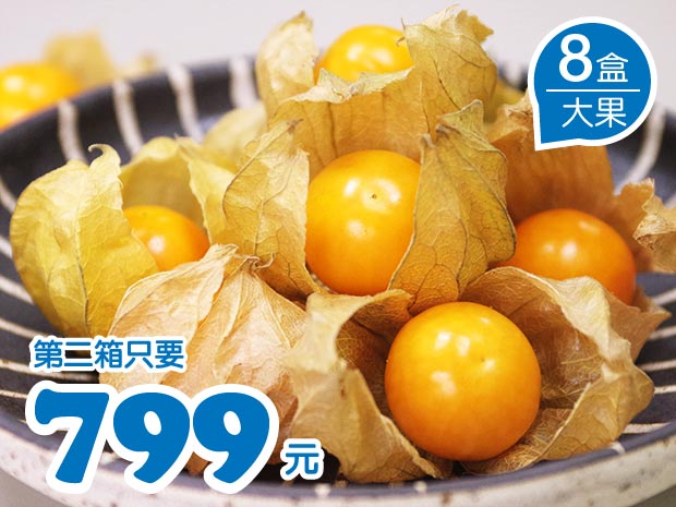 【白河】日本品種極品黃金莓(大果)4盒二箱