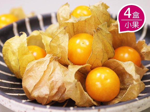 【白河】日本品種極品黃金莓(小果)4盒