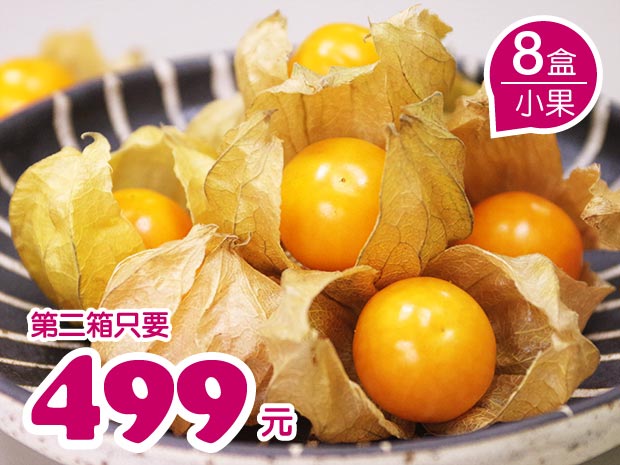 【白河】日本品種極品黃金莓(小果)4盒二箱
