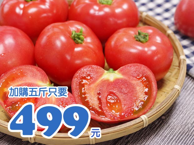 【宜蘭】無毒頂級優美大番茄10斤