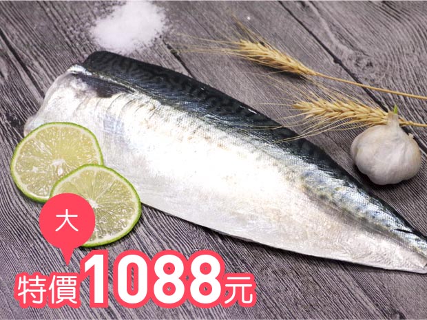 台灣極鮮薄鹹鯖魚片200-250g(大)15片組