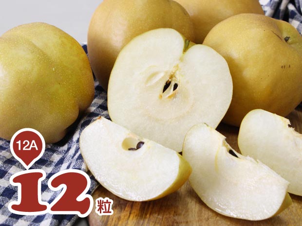 【卓蘭】草生栽培脆甜新興梨12粒(12A)