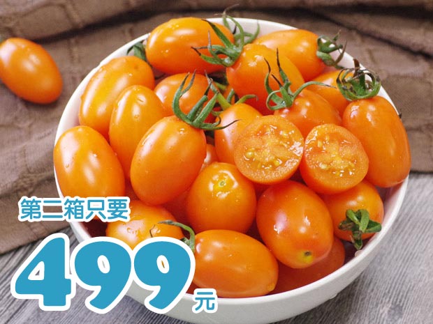 【六龜】沙地橙蜜香小番茄4斤二箱
