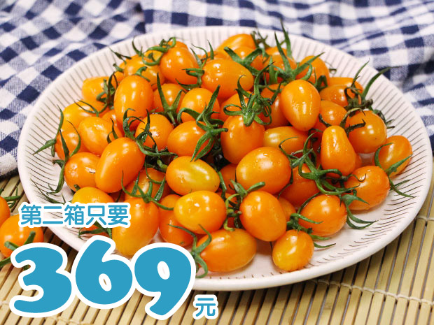 【歸仁】有機袖珍橙蜜香番茄4斤二箱