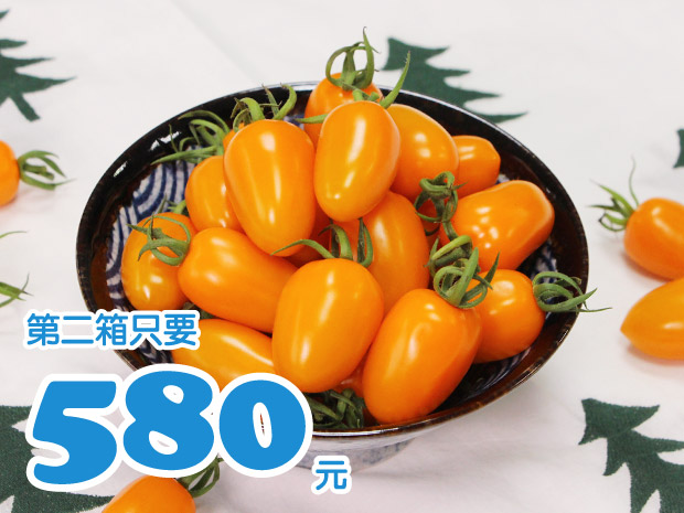 【宜蘭】無毒金瑩小番茄4斤二箱