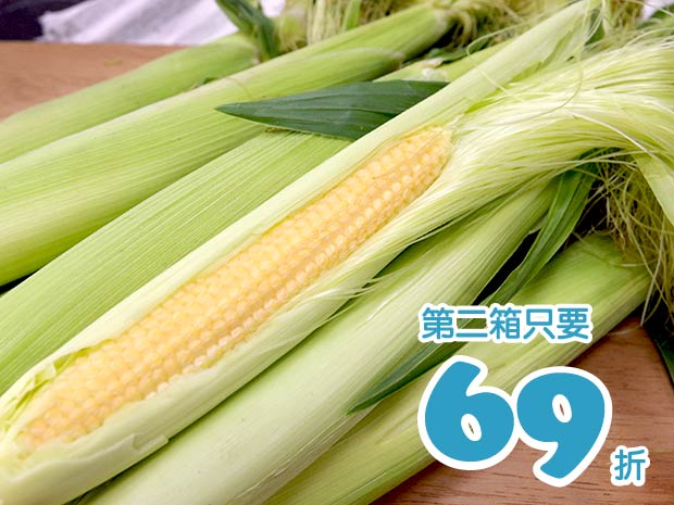 【雲林】安心甜玉米筍4斤二箱