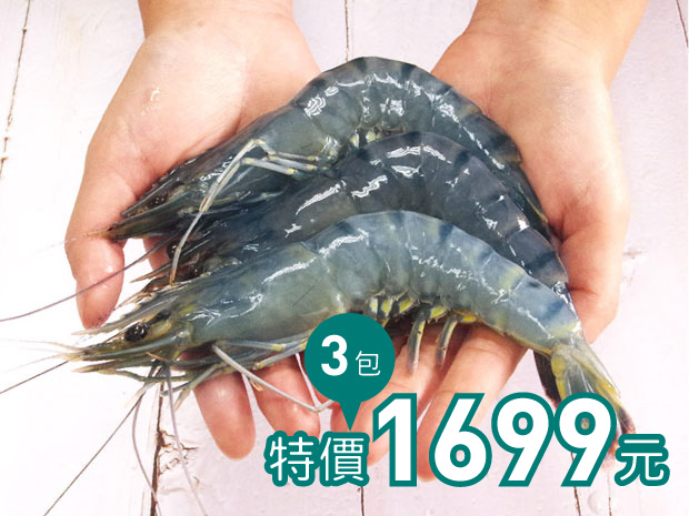 台灣極品特大藍鑽草蝦4-5尾200g三包組