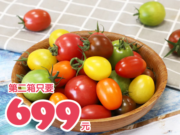 【六龜】無毒繽紛彩色小番茄4斤二箱