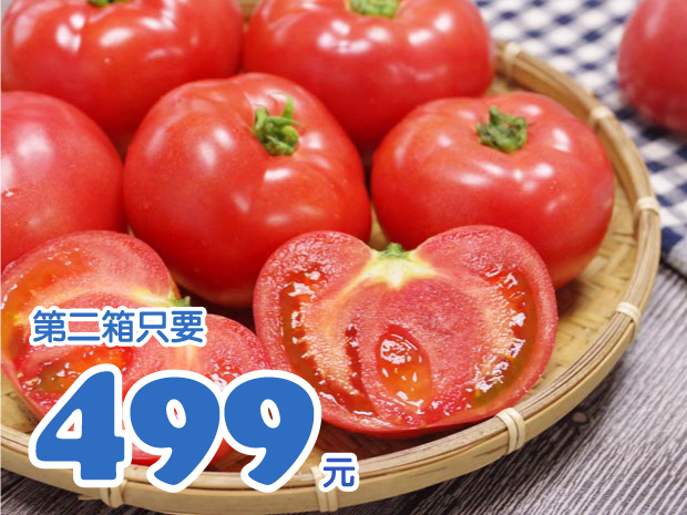 早鳥預購-【宜蘭】無毒頂級優美大番茄5斤二箱組
