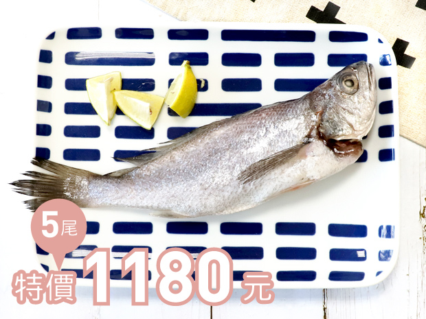 蘇澳-野生嫩香黑喉魚150-200g五尾組