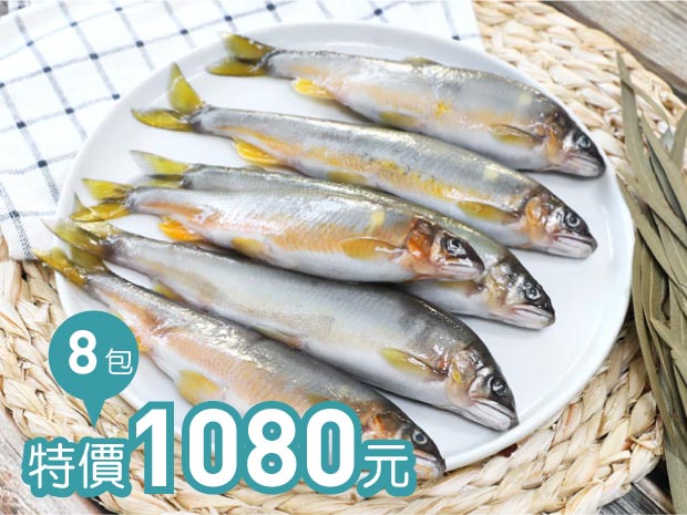 宜蘭-黃大哥嚴選爆蛋母香魚(小)60g(二尾入)八包組