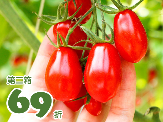 【口湖】神好吃鹽地玉女小番茄4斤二箱