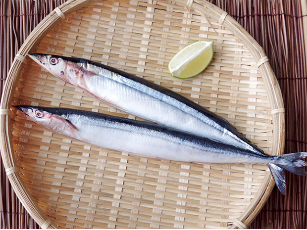 野生鮮凍秋刀魚240g(2入)(大)