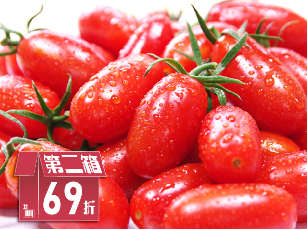 【後龍】有機玉女小番茄2斤(二盒)