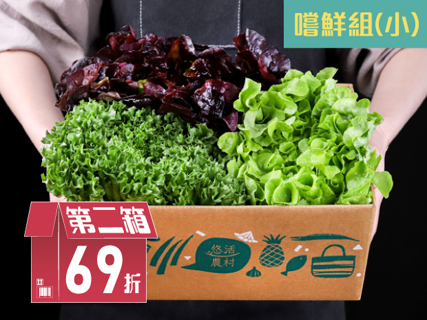【南投】高海拔萵苣生菜嚐鮮組(小)二箱