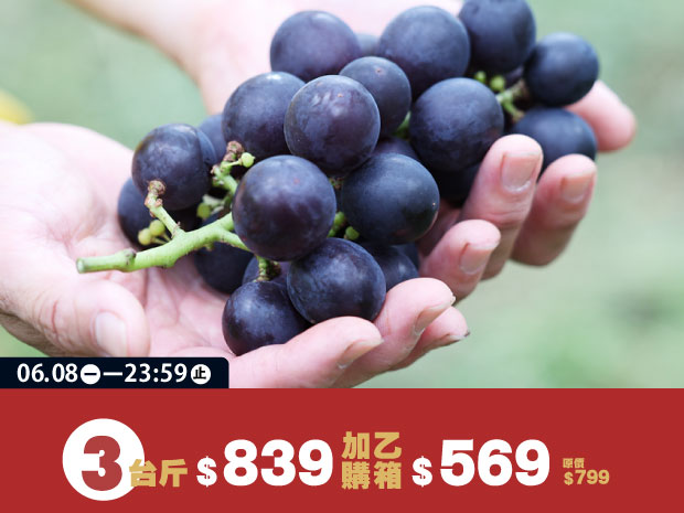 【新社】紫金巨峰葡萄3斤