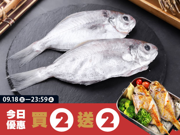 【買二送二】澎湖-野生肉魚150g(2入)