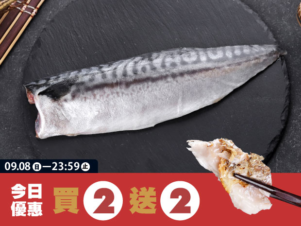 【買二送二】極鮮挪威鯖魚片(無鹽)140-180g