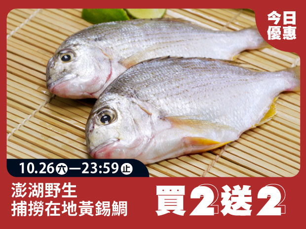 【買二送二】澎湖-野生黃錫鯛200g(2入)