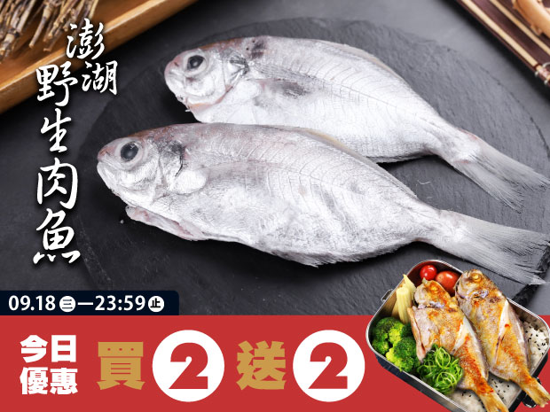 【買二送二】澎湖-野生肉魚150g(2入)