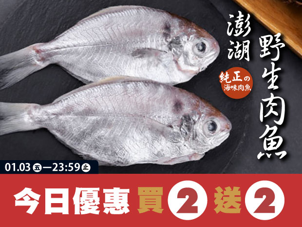 【買二送二】澎湖-野生肉魚150g(2入)